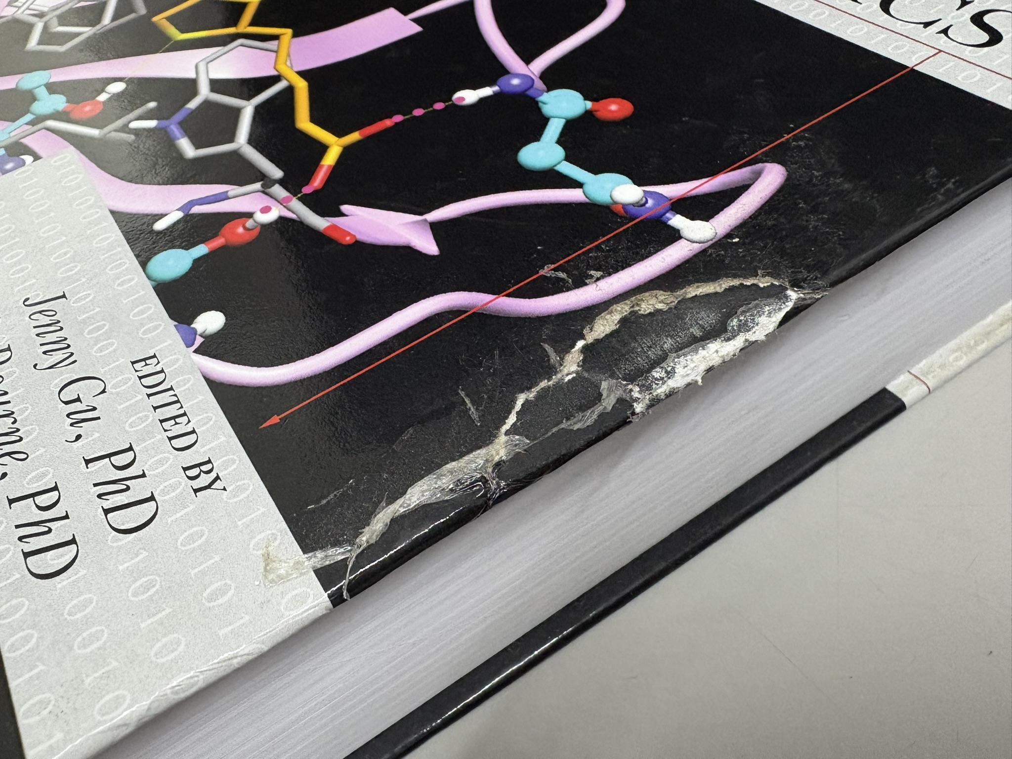 Structural Bioinformatics